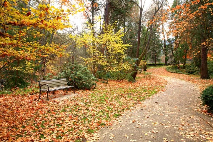 Lithia Park in Ashland Oregon with fall foliage